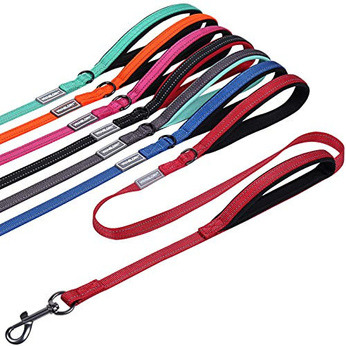 VIVAGLORY Twingrip Führleine Hund, Leine Hund Hausleine Joggingleine, Hundeleine mit 2 Griffen Doppelgriff, Gepolstert Neopren & Reflektierend, 1.5m x 1.4cm, Rot