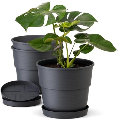 Plastard Blumentöpfe 3er Set 16 cm Durchmesser mit Untersetzer aus Kunststoff Anthrazit runder Pflanzkübel witterungsbeständiger Übertopf große Blumentöpfe