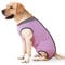 HEYWEAN Hundebody Nach Op Kastration Wundschutzanzüge für Hunde, Professioneller Pet Recovery Suit Hund Medical Shirt, Body Suit nach der Operation Hund Haustier Chirurgenanzug für Hunde