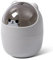 Schreibtisch Bin, 15.5x11cm/6.1x4.3in 500ml Nette Mini Desktop Mülleimer Cartoon Katze Tier Form Countertop Bin mit Swing Deckel Mini Mülleimer Kunststoff Abfalleimer Kleiner Abfalleimer (Grau)