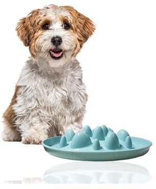 Rohrschneider Antischlingnapf Hunde | Antischlingnapf Katze | Futternapf Katze | Futternapf Hund | Fressnapf Hund | Fressnapf Katze (Blau)