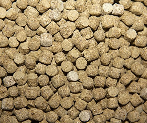 Spirulina 10 kg Alimento para carpas Koi y peces de estanque flotante