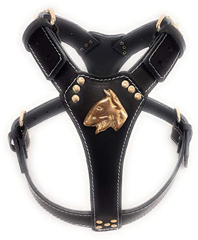 M&D Hundegeschirr aus Leder mit englischem Bullterrier-Kopf, Messing, Schwarz