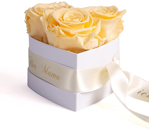 ROSEMARIE SCHULZ Heidelberg Engel ohne Flügel nennt Man Mama 3 konservierte Rosen Box Herz Geschenk zum Muttertag Blumen (Champagner, 3 Rosen Mama, ich hab Dich lieb)