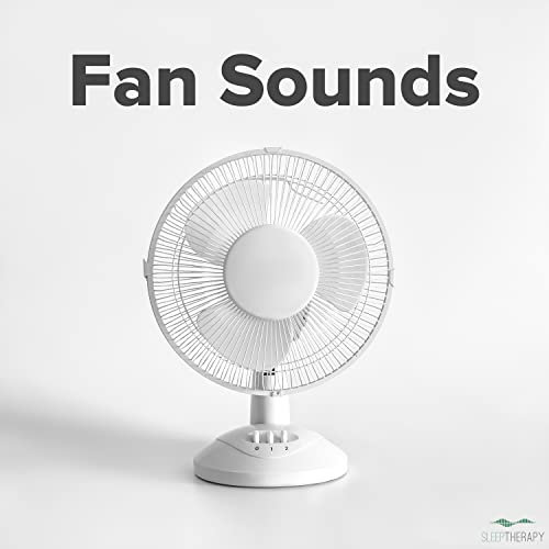 Large Box Fan: White Noise