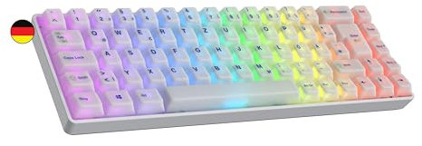 Ranked Master M65 HE 65% | Rapid Trigger Technologie | Magnetische Mechanische Gaming-Tastatur | 69 Tasten RGB LED für PC/Mac Gamer | QWERTZ Deutsches (POM Dye Sub, Clear Switch)