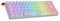 Ranked Master M65 HE 65% | Rapid Trigger Technologie | Magnetische Mechanische Gaming-Tastatur | 69 Tasten RGB LED für PC/Mac Gamer | QWERTZ Deutsches (POM Dye Sub, Clear Switch)
