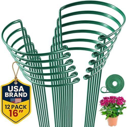 K-Brands 12 Pack Plant Support Stakes – Heavy-Duty Half Round Peony Support Ring and Cage for Indoor and Outdoor Plants – Peony, Tomato, Hydrangea, Rose 10 Wide x 16 High