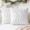 Artscope 2er Set Wolle Kissenbezüge Weicher Plüsch Kurzer Wollsamt Dekokissenbezuge Sofakissen Europäische Kissenhülle für Sofa Schlafzimmer Weihnachtsbaum und Elch Weiß, 50x50cm