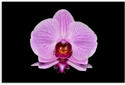 RXNHGJDS Lila Orchideen Blumen Pflanzen Kerzen Leinwand Wandkunst Spa Stillleben Gemälde für Wohnzimmer Dekoration gespannt und Innenrahmen 30x20 cm.Poster
