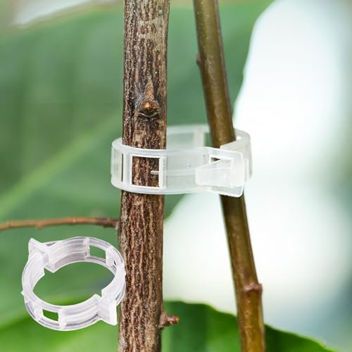 Pflanzenklammern 100 Stück Plastik Spalier Clips 1,18 Innendurchmesser Garten Pflanze Rebe Tomate Stiel Clips für Tomate Gurke Traube Melone