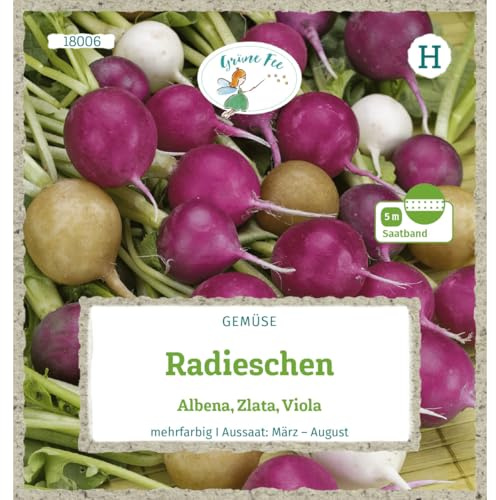 Grüne Fee - Radieschen Albena Zlata Viola Saatband 5 m Samen - 18006