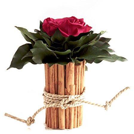 ROSEMARIE SCHULZ Heidelberg 1 Ewige Rose in Vase Zimtstangen konserviert haltbar 3 Jahre Blumen Deko im Landhaus Stil (Pink)