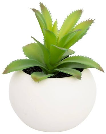 Atmosphera - Plante grasse en Pot H13 - Modèle f/Blanc
