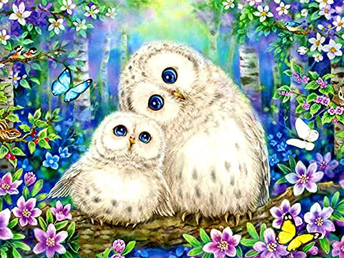 VAIIEYO DIY 5D Diamond Painting Eule, Diamant Painting Bilder Malerei Kits Tier, Malen Nach Zahlen Diamant Home Wand Decor Gemälde Kreuzstich Diamond Dekoration 30x40 cm
