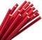 ECOPICNIC Red Paper Straws (100 pcs/pack), Disposable Paper Straws