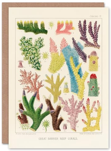 Artery8 William Saville Kent Art Card Great Barrier Reef Corals