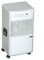 Fral FDC32 Deumidificatore Semiprofessionale Portatile 32L in 24H