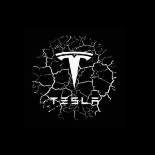 DYKGYLYS Car Welcome Light, LED Door Projector for Cars, Custom Logo Light, for Tesla Model Y/3/S/X