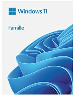 Microsoft usb Windows 11 Home 64 Bit