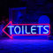 LULANMP Panneau lumineux néon à DEL pour décoration murale de toilettes, toilettes, hôtels, bar, hôpital, magasin (42,9 x 17 cm)