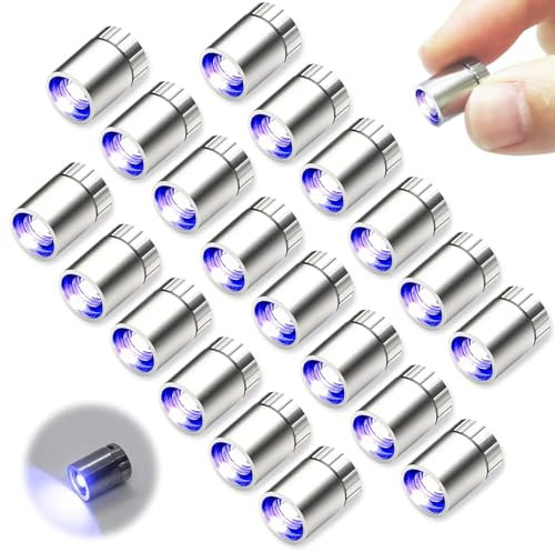 EKKONG Puppenhaus Beleuchtung 20 Stück Mini LED Licht Kleine LED Lichter Puppenhaus Lampe Blaues LED Licht Klein DIY Puppenhauszubehör, Basteln, Mini Spielzeugzubehör