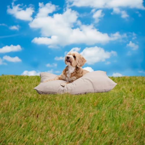 maxxpro Hundekissen Größe S - Komfortables Hundebett Kleine Hunde - Waschbares Kissen für Innenbereich - 60 x 80 x 15 cm - Beige