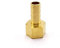 WUUKEPSG Raccord de Tuyau En Laiton, Embout Cannelé de 6 À 19 Mm, Filetage Femelle 1/8, 1/4, 1/2, 3/8 Bsp, Adaptateur de Raccord En Cuivre/Btpcf/10Mm_3/4