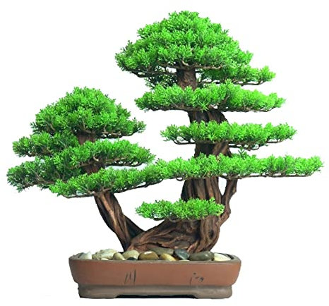 HASMI Künstliche Bonsai Künstlicher Bonsai-Baum, Zypresse, Simulation, willkommen, Kiefer, Bonsai, Wohnzimmer, Teestube, Eingang, Tischdekoration, gefälschte Kiefernbaum-Ornamente Künstliche Pflanze