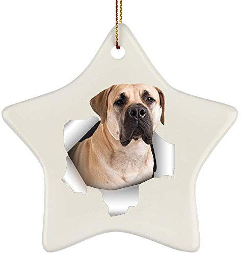 Christbaumschmuck Keramik Weihnachtsanhänger Mit Hanfseil Weihnachten Deko Lustige Boerboel-Creme, Die Aus Einer Rissigen Wand Kommt