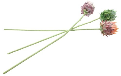 FRANK FLECHTWAREN Blume Protea, 3er Set, Textilblüten, Kunststoff Maße: ca. Länge 62 cm, vielseitig anwendbar