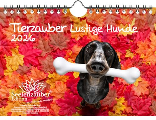 Tierzauber Lustige Hunde DIN A5 Kalender für 2026 Welpen und Hunde - Geschenkset Inhalt: 1x Kalender, 1x Weihnachtsanhänger (insgesamt 2 Teile)