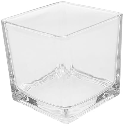AKOOSY Vaso Quadrato in Vetro Trasparente per Fiori e Coltivazione Senza Design Contemporaneo Minimalista Fioriera Stabile e Pratica per Decorazioni da Tavolo e Interni
