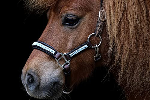 Kelly Lederhalfter Halfter Leder Minishetty Mini Shetty Minipony Fallabella Schwarz Braun Türkis Hellblau Perlen Glitzer Tysons (Minishetty, Schwarz)