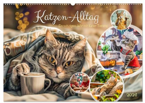 Katzen-Alltag - Ein witziges Jahr mit Kater Tommy (Wandkalender 2026 DIN A2 quer), CALVENDO Monatskalender: Katzenleben - Begleite Kater Tommy durch ... voller neugieriger Abenteuer (CALVENDO Tiere)