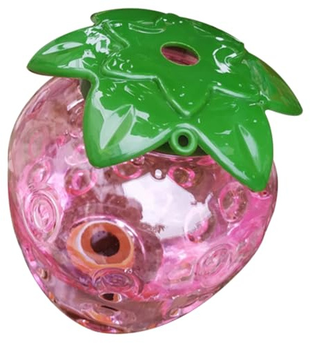 TOYANDONA Arrosage Automatique de Fraise Dispositif Irrigation Pratique pour Plantes Intérieur Extérieur