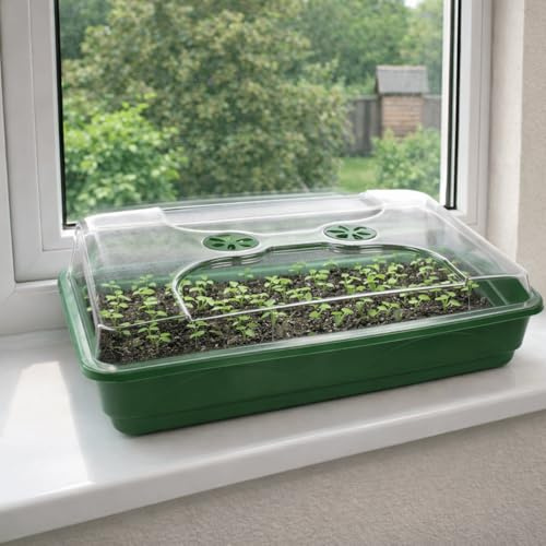 Gardening Naturally Large Shallow Propagator Seed Tray Plastic Seed Sowing Tray for Germination Plug Plants and Cuttings Greenhouse Growing Tray 58 x 38 cm UK Made