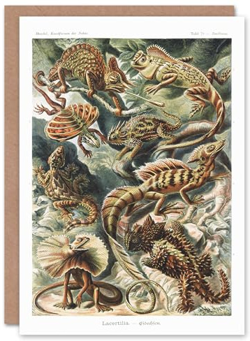 Artery8 Ernst Haeckel Art Card Lacertilia Reptile Lizard Species