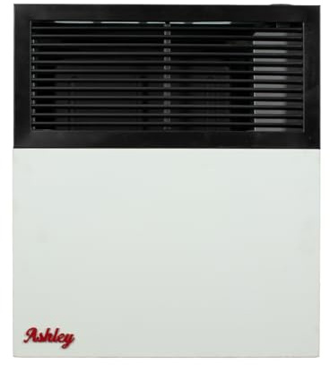 Ashley Hearth DVAG11L - Riscaldatore a propano a sfiato diretto, 11.000 BTU, colore: panna