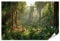 islandburner XXL Bild Poster Landschaft Wild Grüner Dschungel Panorama Tiefer Tropischer Wald S Premium Bilder Fotodruck JCMR-PKL