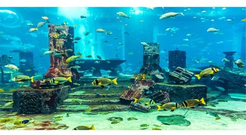 MIRRORANG 120x50cm Unterwasser Thema Aquarium Hintergrund Bunte Koralle Tropische Fische Ruinen Unterwasserwelt Aquarium Poster Hintergrund Vinyl