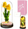 Touloube Muttertagsgeschenk für Frauen, Forever Tulip Künstliche Tulpen, Ewige Infinity Blumen im Glas, Künstliche Blumen Geschenke für Frau Freundin Mama Oma, Jahrestag, Gelb