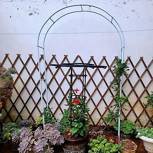 Arche de jardin en métal pour légumes, courges et décoration de fête de mariage