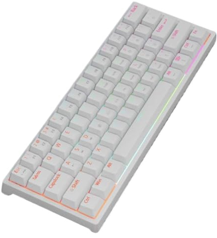 Clavier 61 touches rouge mécanique filaire USB rétro-éclairage rvb détachable échange à chaud Compatible avec MUCAI MK61(MK61-BAI)