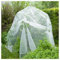 Nature Filet Anti-Insectes Arbres fruitiers 5,20 x 5m
