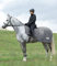 Waldhausen Fliegenausreitdecke Comfort, grau, 145 cm