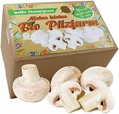 BIO Champignon Komplettset 5kg - Pilze selber züchten