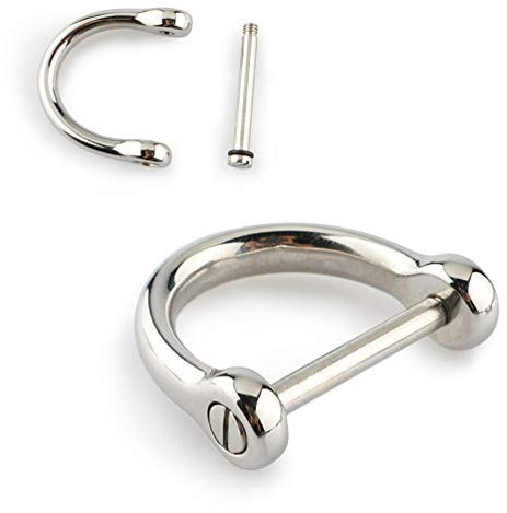 2 Stück D-Ringe mit Verschlussschraube Schäkel Hufeisen U-Form Schlüsselanhänger für DIY Handwerk Geldbörse Schlüsselanhänger Herstellung Silber