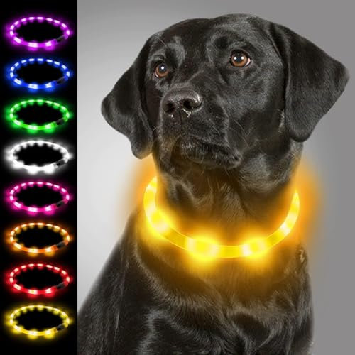 Joytale Leuchthalsband Hund USB Aufladbar Hundehalsband Leuchtend für Große Mittel Kleine Hunde und Welpe, Led Halsband mit 3 Modi für Sicherheit, Gelb