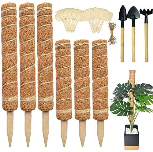 6 paquetes de postes de musgo de coco para plantas trepadoras de 15.7 pulgadas y 12 pulgadas, Monstera, Creepers planta de interior para crecer hacia arriba